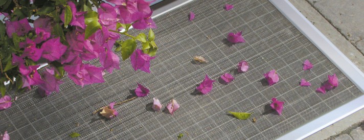 VALETTA Insektenschutz Kellerschachtabdeckung